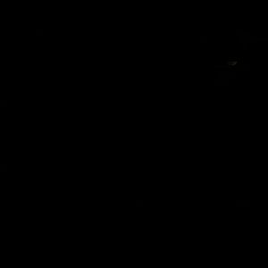 Meet your Posher, Elaine